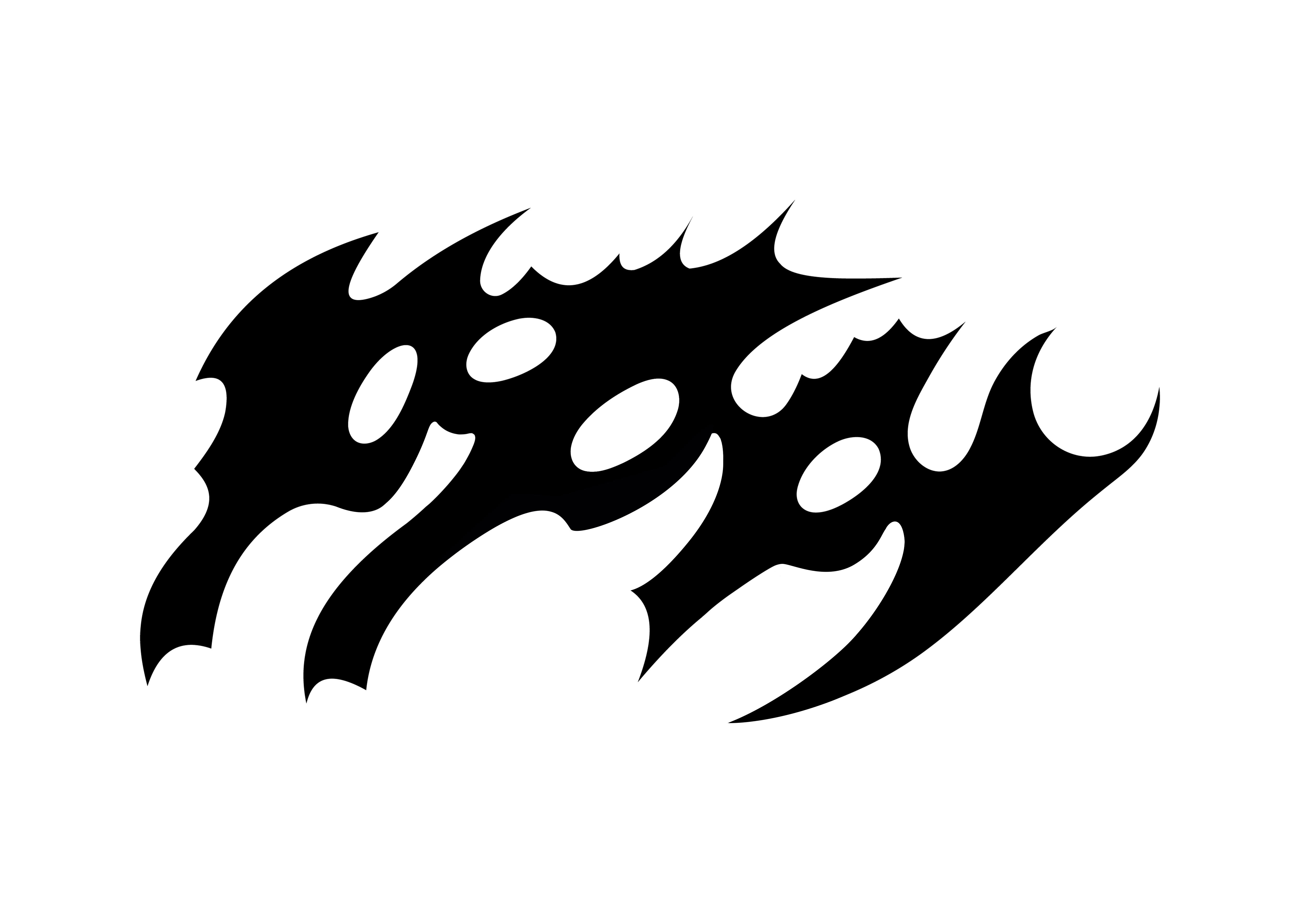 Web